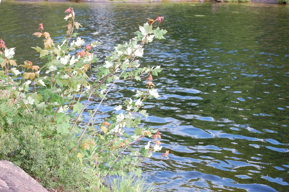 SUMMER2010- (99)